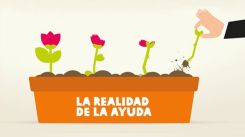 la-realidad-de-la-ayuda