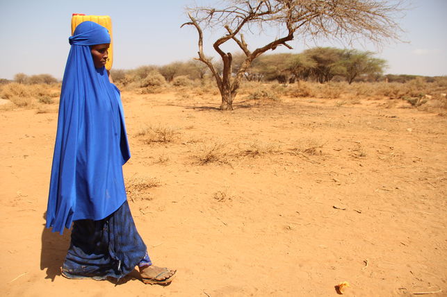 SOMALIA CONGRA